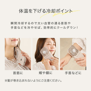 RIORES 冷却プレート付きハンディファン (0447-foldclfan)