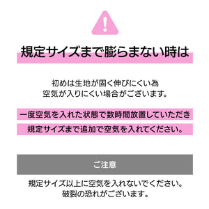 バランスボール 65cm 2個セット