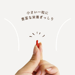 SOMA FOODS  ゴジベリー (クコの実)  大容量500g