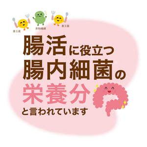 水溶性食物繊維 イヌリン 550g