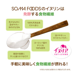 水溶性食物繊維 イヌリン 2kg