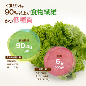 水溶性食物繊維 イヌリン 2kg