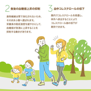 水溶性食物繊維 イヌリン 2kg