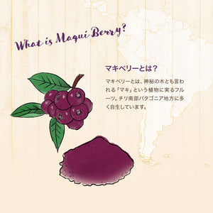 マキベリーパウダー 50g