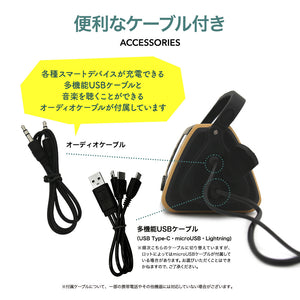 RIORES MOSIMO マルチファンクション ポータブルラジオ