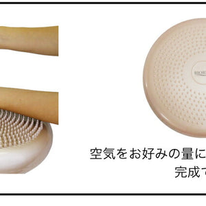 バランスディスク