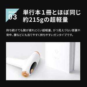ラヴィリス リセ
